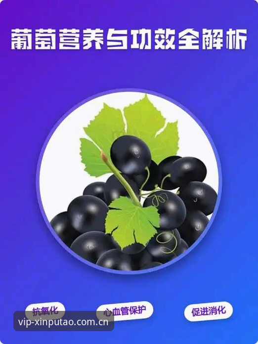 新葡萄官方网站功能详解：2024年度全面评测，探索高端娱乐平台A7K3的创新突破